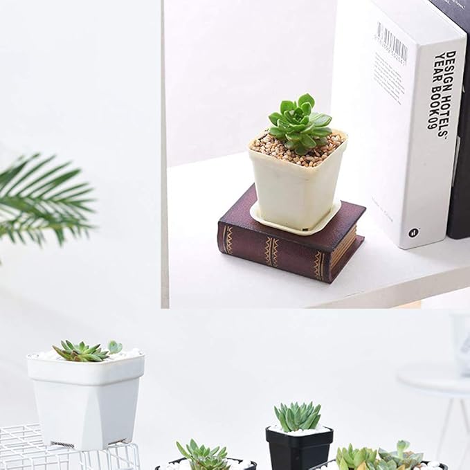 24 Pack 3 Inch White Square Plastic Plant Pots with Saucers,Nursery Seedling Pots with Drainage Hole,Small Planter Containers for Succulents,Flowers,Indoor Outdoor Garden,Home Office Balcony Decor