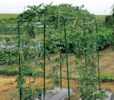 Green Garden Trellis Netting 5x100 ft Heavy Duty Polypropylene Plant Support Net for Climbing Vegetables Fruits Flowers