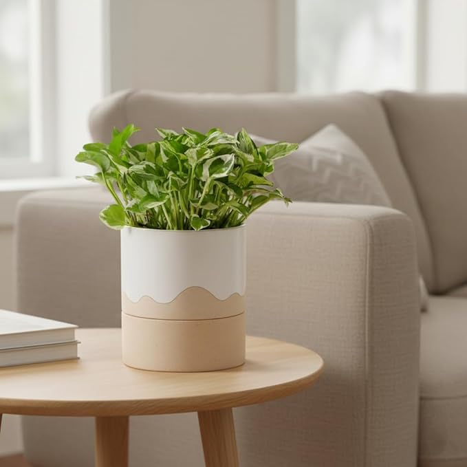 Nihow Self Watering Plant Pot: 6 Inch Ceramic Planter with Drainage Hole & Water Storage Plus for Indoor & Outdoor Plants - Cylinder Round Flower Pot for Succulent/Herbs/Violets - White & Nature