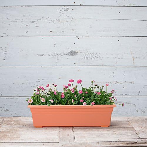 Root & Vessel 16245 Countryside Flower Box, 24-Inch, Terracotta
