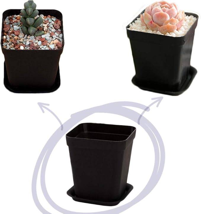 OJYUDD 24 Pack 3 Inch Black Nursery Pot Flower Pots Square Plastic Plant Pot Plastic Starter Pots with Saucer Basket Indoor Outdoor for Your Room,Garden Office and Balcony Decor