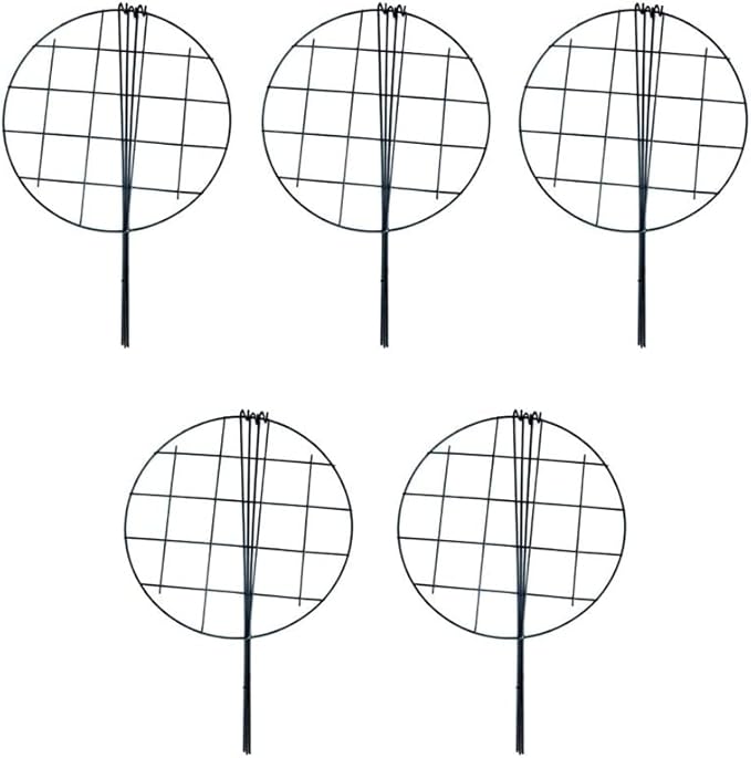 MTB Supply 5 Pack 16 x 24 inch Peony Cages,Grow Through Plant Support Stakes, Flower Support Hoops Heavy Plants Brace Rings