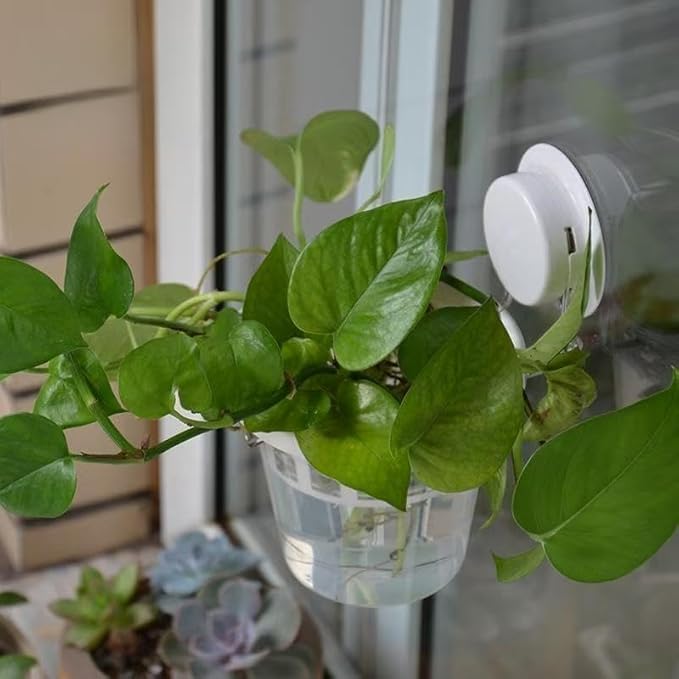 Set of 3 Plastic Window Planter with Suction Cup Holder. Large Window Popagation. Clear Self Watering Window Mounted Plant Pots. Window Sill Planters Extender for Indoor Hydroponic Plants