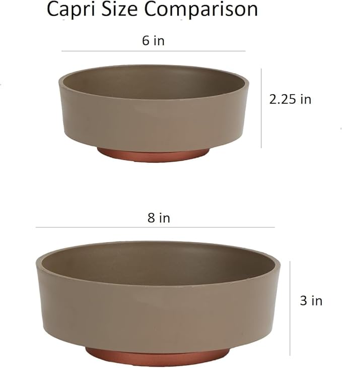 The HC Companies 6 Inch Round Plastic Succulent Capri Bowl Decorative Indoor Flower Succulent Planter Pot with Drain Plug Hole, Artisan Taupe with Copper Bottom Color (2 Pack)