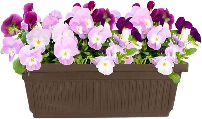 The HC Companies 18 Inch Venetian Rectangular Window Planter Box - Lightweight Plastic Indoor Outdoor Plant Pot with Drainage for Windowsill, Herbs, Flowers, Chocolate (Pack of 2)