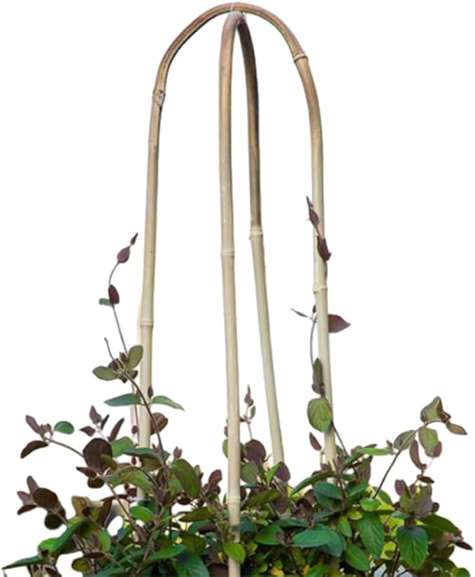 20 Pack Bamboo U Trellis for Potted Plants - 16 Inch U-Shaped Plant Support Hoop, Heavy-Duty Arch Stake for Climbing Vines Cucumbers, Indoor/Outdoor Rustic Garden Training Frame