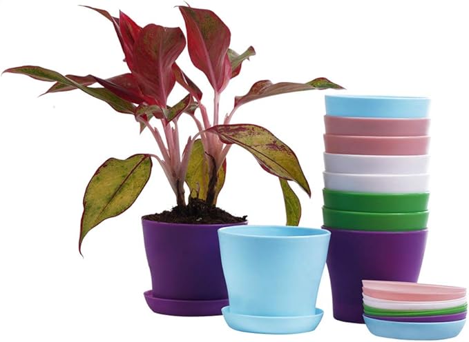 TDHDIKE 10 Pcs Plastic Planters Indoor Pots, Mini Flower Seedlings Nursery Flower Pot with Pallet, Modern Decorative Gardening Containers
