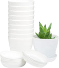 TDHDIKE 10 Pcs Plastic Planters Indoor Flower Plant Pots, Mini Flower Seedlings Nursery Pot/Planter/Flower Pot with Pallet, Modern Decorative Gardening Containers (White)