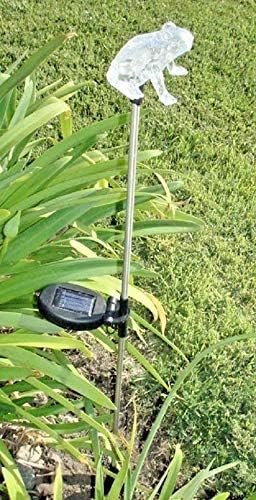 Solar Powered Garden Stake LED Light, Set of 2 (Frog)