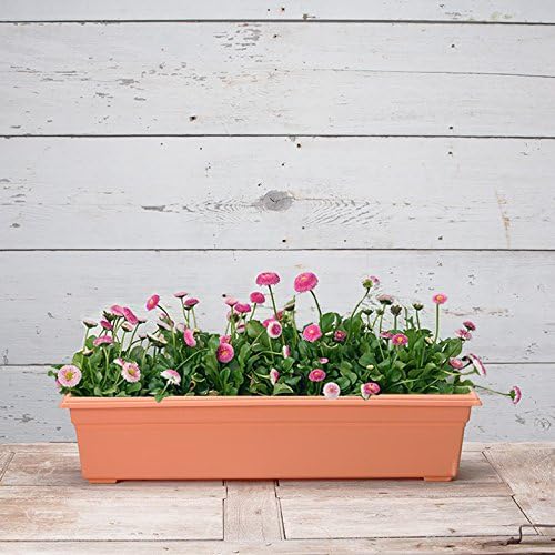 Root & Vessel 16305 Countryside Planter, 30-Inch, Terracotta