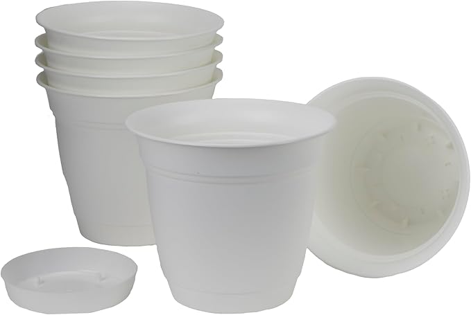 The HC Companies 8 Inch Eclipse Round Planter Pots with Drainage Holes & Attached Saucer, Lightweight UV-Resistant Plastic Indoor & Outdoor Planters, 6-Pack Flower Pots for Garden & Home Decor, White