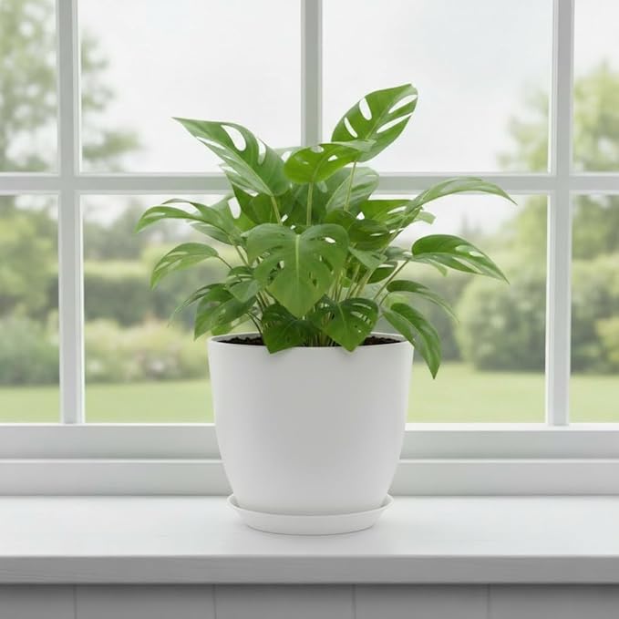 Plant Pots 8 Inch Set of 6, Flower Pots with Drainage Holes and Saucer, Plastic Garden Planters for Indoor & Outdoor Plants (White)