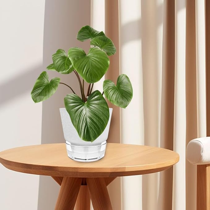 Plant Pots - 6" Orchid Pot, 5 Pack Orchid Pots with Holes - Self Watering Pots for Indoor Plants - Plant Pots with Drainage Hole and Tray Saucer (Frosted Gray)