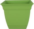 The HC Companies Eclipse Square Plastic Planter w/Attached Saucer - Outdoor & Indoor Plant Pot with Drainage Holes - Lightweight, UV-Resistant Plastic Pots for Plants (6" Peridot Green, Pack of 1)