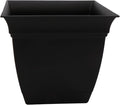 The HC Companies Eclipse Square Plastic Planter w/ Attached Saucer - Outdoor & Indoor Plant Pot with Drainage Holes - Lightweight, UV-Resistant Plastic Pots For Plants (12" Black, Pack of 1)