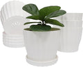 Flower Pots Outdoor Clearance 6 inch Set of 5 Succulent Planters for Indoor Plants Garden Home Holiday, Plastic Nursery Pots for Plants with Drainage Holes and Saucer, Modern Plant Pot White