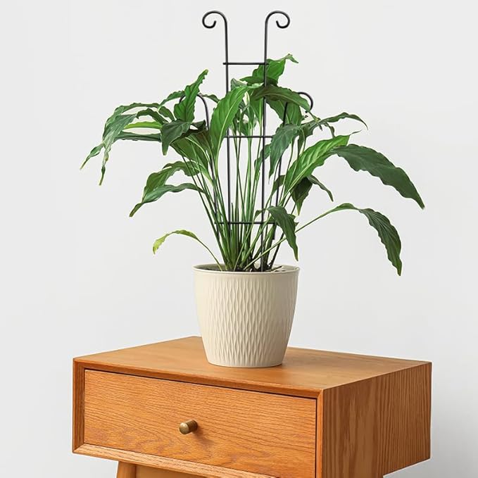 Coomin 23in Taller Plant Trellis for Climbing Plants Indoor, 4P Sturdy Houseplant Trellis for Potted Plants with Ties, Vine Plant Support for Monstera Pothos Ivy, Plant Decor