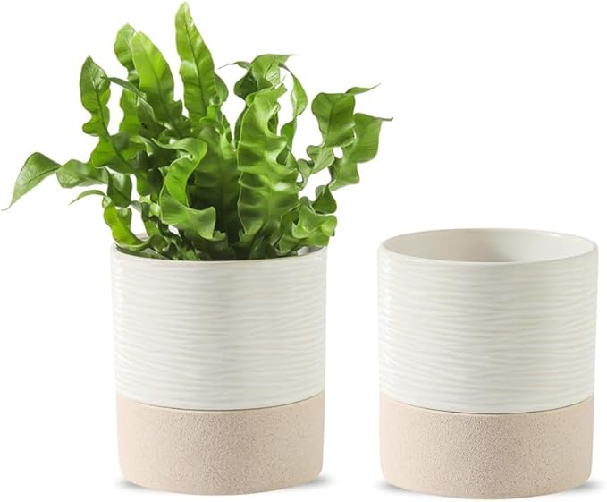 Nihow Self Watering Plant Pot for Indoor Plants: 4.5 Inch Ceramic Planter with Drainage Hole & Water Storage Plus - Cylinder Flower Pot with Wick for Herbs -White & Brown (Set of 2)