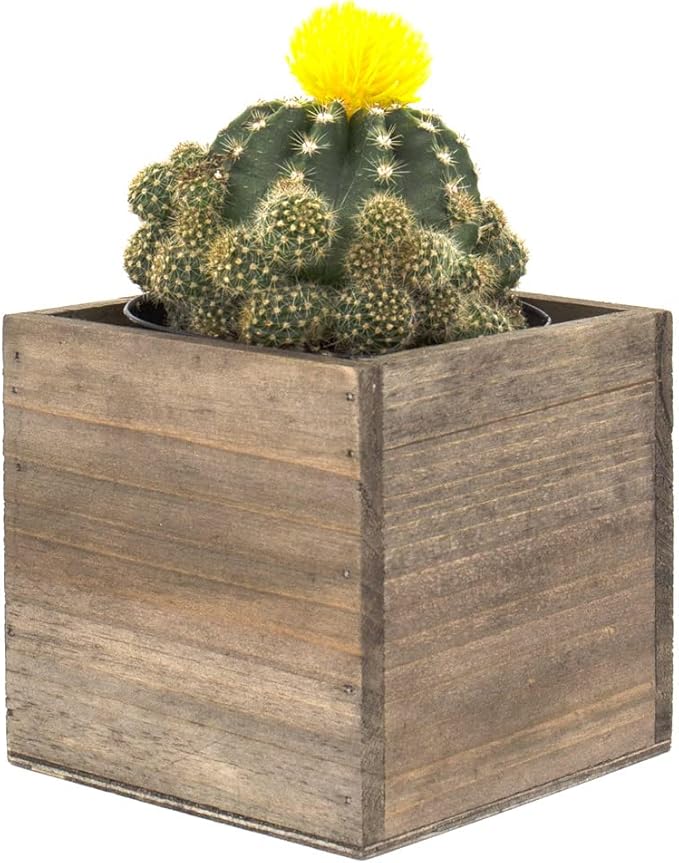 CYS EXCEL Cube Planter Box with Removable Plastic Liner (4"x4"x4")(4 PCS) | Multiple Size Choices Wood Square Planter | Indoor Decorative Window Box
