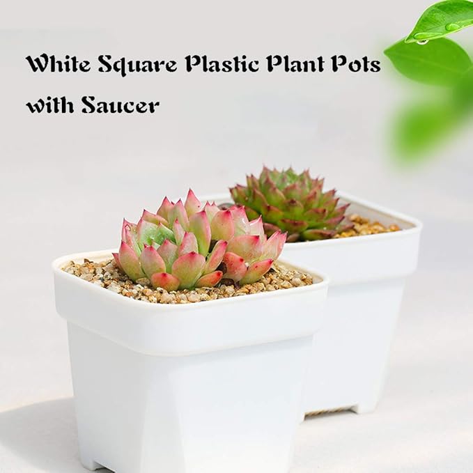 24 Pack 3 Inch White Square Plastic Plant Pots with Saucers,Nursery Seedling Pots with Drainage Hole,Small Planter Containers for Succulents,Flowers,Indoor Outdoor Garden,Home Office Balcony Decor