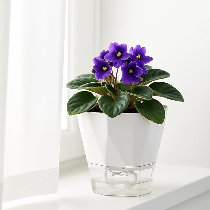 6 Pack Self Watering Pots for Indoor Plants, 5 Inches Self Watering Planters Small African Violet Self Watering Clear Pots for Plants Herb Orchid Flower Houseplant Pots, White
