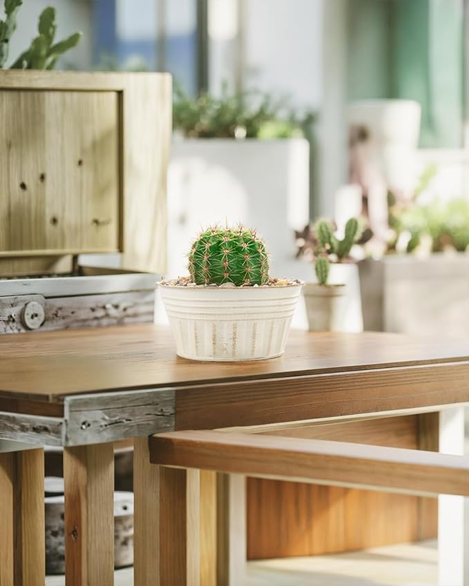 vensovo 10 Inches Beige Metal Rustic Plant Pots - 4 Pcs Large Shallow Galvanized Planters with Drain Hole and Rubber Plug, Rustproof Tin Bucket Succulent Pot Indoor Farmhouse Vintage Style for Decor