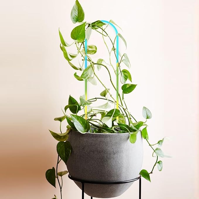 3 Pack U-Shaped Colorful Acrylic Plant Trellis for Indoor Plants, Small Plant Trellis for Potted Plants Climbing Plants, Plant Support Trellis for Vine Ivy Hoya Indoor Outdoor