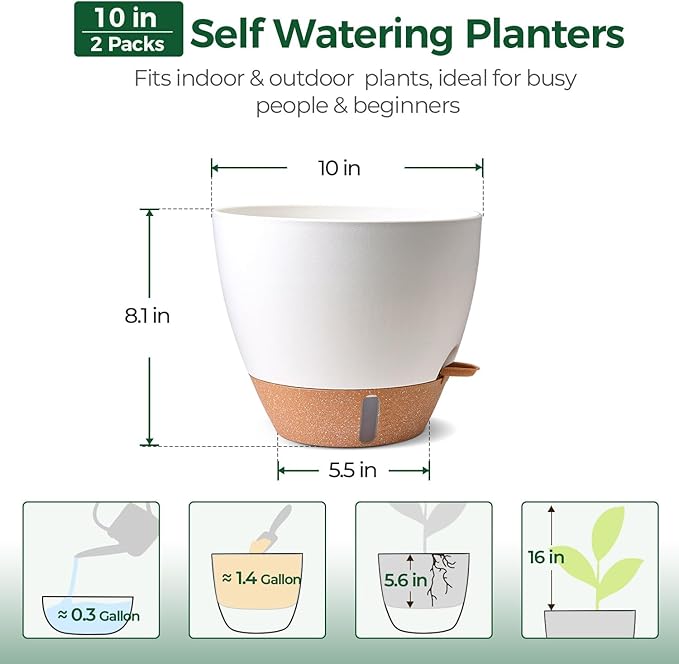 2 Pack 10 Inch Self Watering Pots - Water Level Indicator & Deep Reservoir, Mess-Free Planter for Busy People, Beginners & Gardeners, Fiddle Leaf Fig, Monstera, ZZ Plants, Indoor Outdoor Use (White)