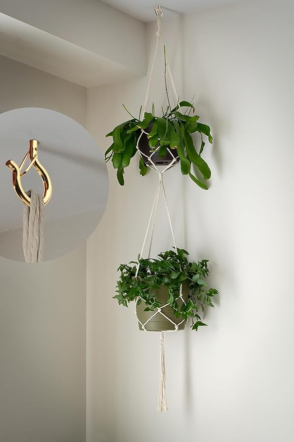 PlusRoc 20 Pack Ceiling Hooks for Hanging Plants Outdoor String Lights Heavy Duty, 2.2 Inch Eye Hook Screw in Cup Hooks Q-Hanger for Patio Lights, Wall Wood Fence Deck Mount(Gold)