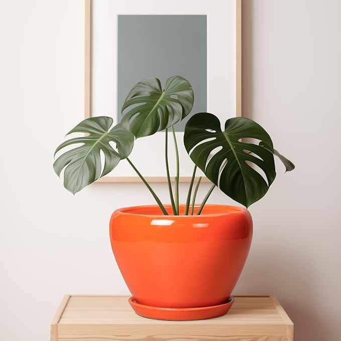 Ceramic Pot for Plants - 10 Inch Plant Pot with Drainage Hole and Saucer, Modern Round Glaze Planter for Indoor Outdoor Plants, Plant Lover Gifts, Home Garden Office Decor, Orange