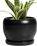 SQOWL Ceramic Plant Pot - 6 Inch Planter for Indoor Plants, Round Flower Pot with Drainage Hole and Saucer, Modern Succulent Planter Outdoor, House Decor, Plant Lovers Gifts, Black