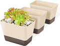 SUREAM Succulent Pots with Tray, 3 Pack 6 x3.8 Inch Herb Window Boxes Office Cactus Planters Plastic Rectangle Plants Containers with Saucer for Windowsill, Garden Balcony, Porch