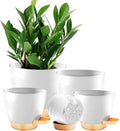 5-Pack Plant Pots with Drainage for Winter Care 7/6.5/6/5.5/5 Inch, Self Watering Pots for Indoor Plants, Planters for Indoor Outdoor Plants, Plastic Flower Pot, Planter for Indoor Outdoor (White)