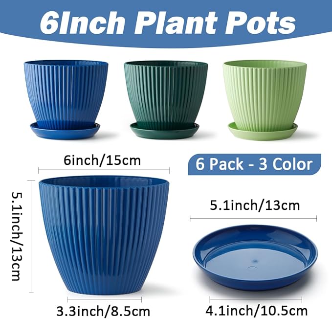6 Inch Plant Pots, Plastic Flower Pots for Indoor Outdoor Plants, Planters with Drainage Holes and Tray Saucers, Cute Succulent Pots Durable and Light Weight (6 Pack)