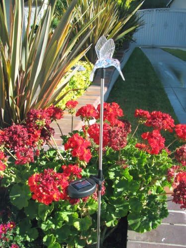Solar Garden Stake Lights with Color Changing LED or Regular White LED Landscape Path Lights (Set of 2) (Hummingbird (Wing up))