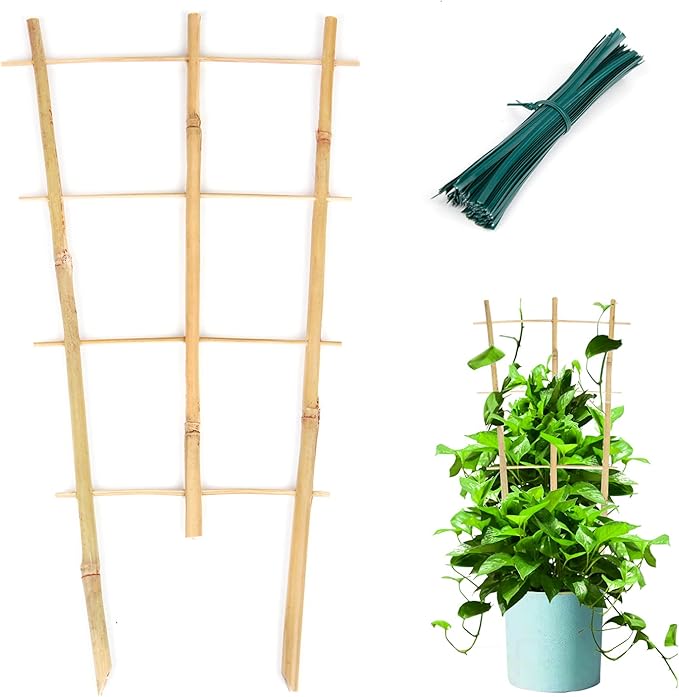Plant Trellis Indoor, 3 Pack Bamboo Trellises, 16in Fan-Shaped Trellis for Potted Plants Climbing Plants Hoya Vine Ivy