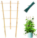 Plant Trellis Indoor, 3 Pack Bamboo Trellises, 16in Fan-Shaped Trellis for Potted Plants Climbing Plants Hoya Vine Ivy