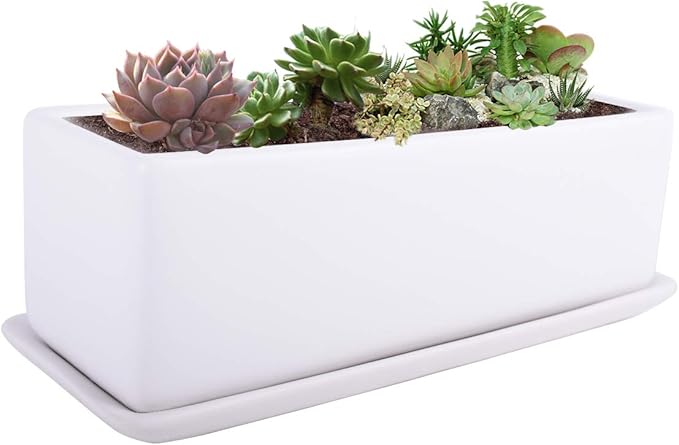 Vencer 12 Inch Rectangular Modern Minimalist Ceramic Succulent Planter Pot - Window Box with Saucer,Office Desktop Potted Stand,White,VF-0135