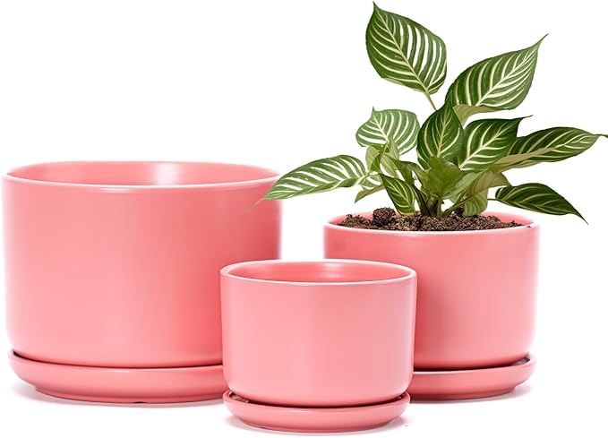 Ton Sin Ceramic Plant Pot with Drainage Hole and Saucer for Indoor Plants, Decorative Round Flower Pot for House Plants, Succulent Orchid Planter(Matte Orange)