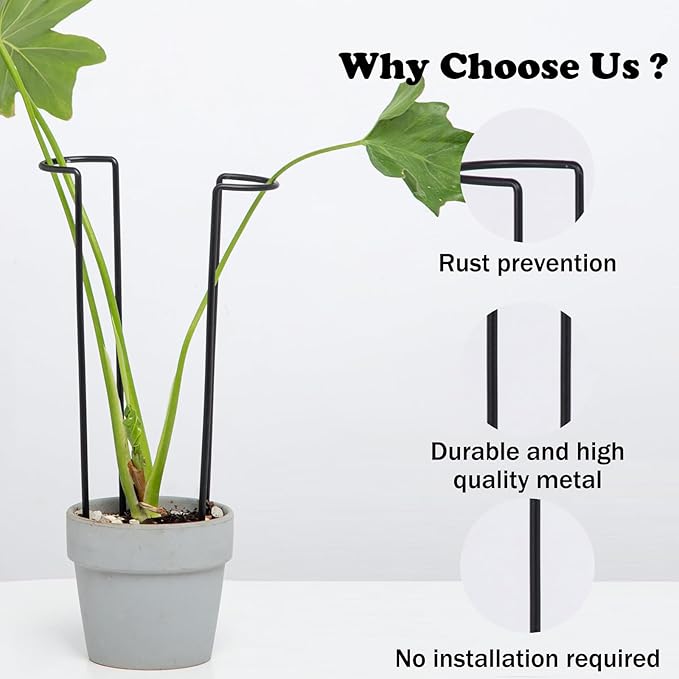 10-Pack Monstera Plant Support - 12 Inch Durable Iron U-Shaped Trellis Stakes for Indoor & Outdoor Medium-Sized Potted Plants - Perfect Stem Holder for Monstera & More