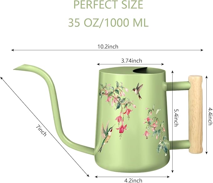 Watering Can Indoor Plants, 35oz Small Stainless Steel Metal Watering Can Modern Decorative Watering Pot with Long Spout for Indoor House Plant Bonsai Garden Flowers (Saga Green 1)