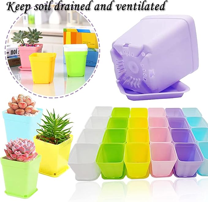 Haawooky 48 PCS 3 Inch Colorful Plastic Plant Pot,Plastic Square Nursery Pots,Seedling Nursery Pots with Saucers for Garden,Home,Office,Balcony Decor,Garden Gifts