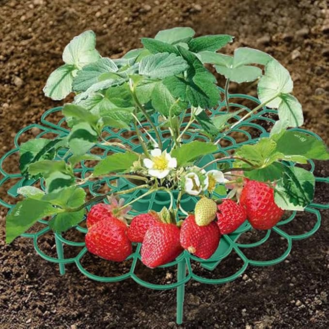Comimark 12 PCS Grow Your Garden with This Stylish Strawberry Wavy Bracket - Balcony Potted Vegetable Rack