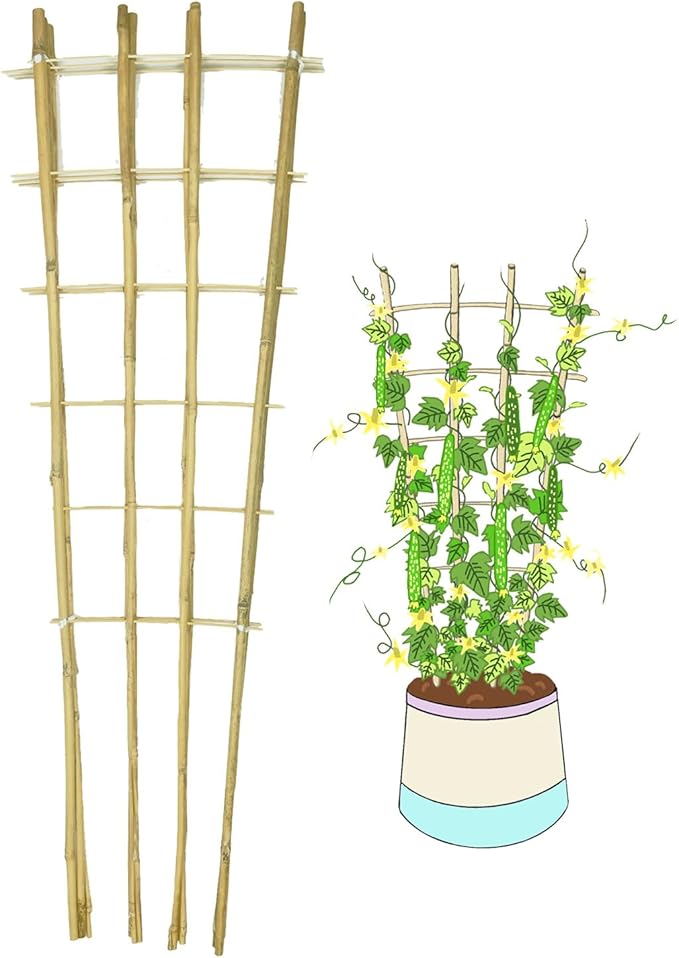 Natural Bamboo Trellis, 4.8Feet,3Pack,Fan-Shaped Plant Support Trellis for Outdoor and Indoor Potted Climbing Plants,Vegetables, Cucumber, Tomato, Hoya,