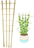 Natural Bamboo Trellis, 4.8Feet,3Pack,Fan-Shaped Plant Support Trellis for Outdoor and Indoor Potted Climbing Plants,Vegetables, Cucumber, Tomato, Hoya,