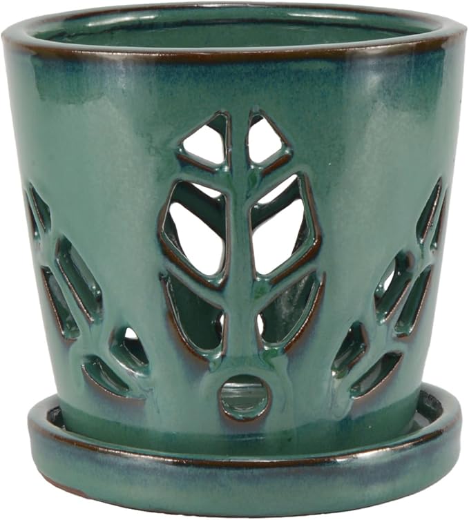 W&W Orchid Pot with Holes and Saucer for Repotting, Green, 5.5 Inches