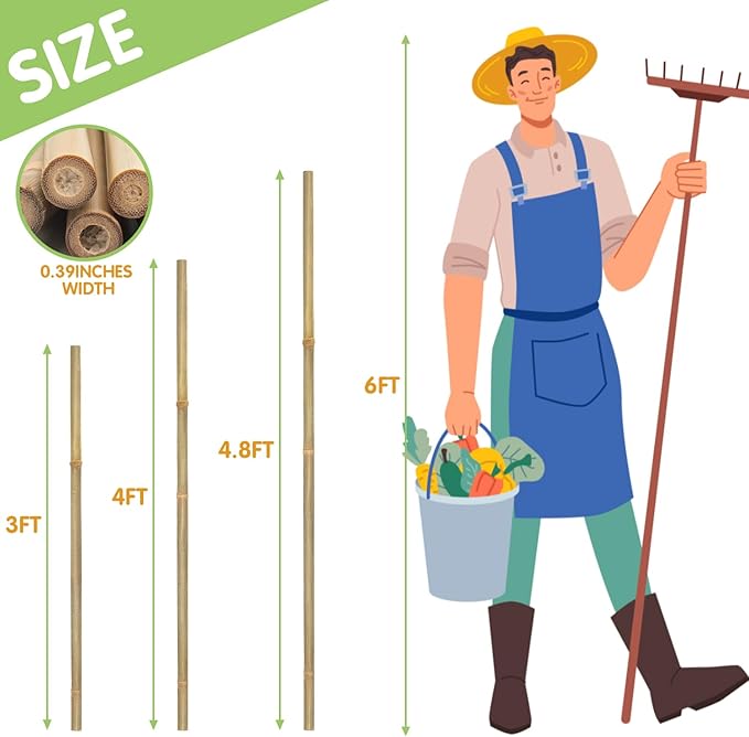 Plant Stakes,4FT Longer Sturdy Natural Bamboo Garden Stakes,GAGINANG 25Pcs Bamboo Sticks Trellis Support for Tomato, Vegetables Beans Trees Climbing Plants