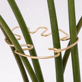 Monstera Plant Stem Support - 5 Piece Set, 4.13x2.95in Durable Leaf Holder & Fishbone Cactus Stake for Healthy Growth of Climbing Plants - Easy to Use Indoor Plant Decor