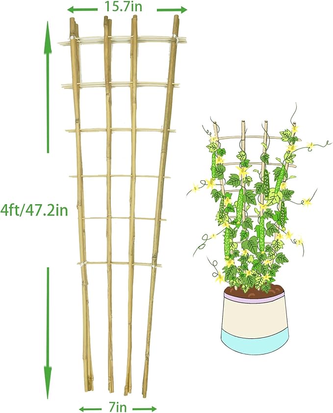Natural Bamboo Trellis, 4Feet,3Pack,Fan-Shaped Plant Support Trellis for Outdoor and Indoor Potted Climbing Plants,Vegetables, Cucumber, Tomato, Hoya,