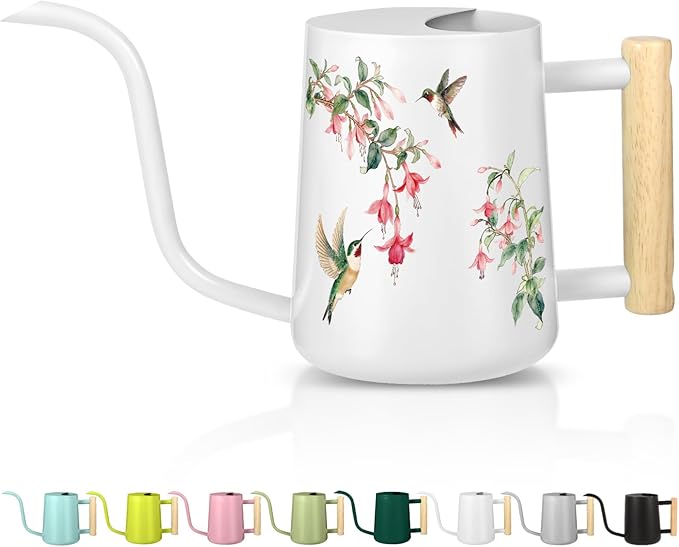 Watering Can Indoor Plants, 35oz Small Stainless Steel Metal Watering Can Modern Decorative Watering Pot with Long Spout for Indoor House Plant Bonsai Garden Flowers (White 1)